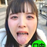 H 1651nko0500002pl