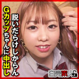 Sika491jp