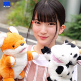 Smjs193jp
